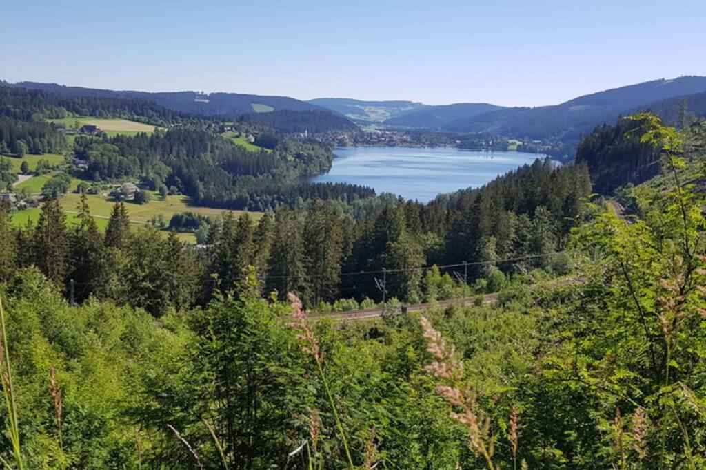 Apartment Black Forest Schwarzwaldblick Indoorpool Wifi Komfort Hoechenschwand