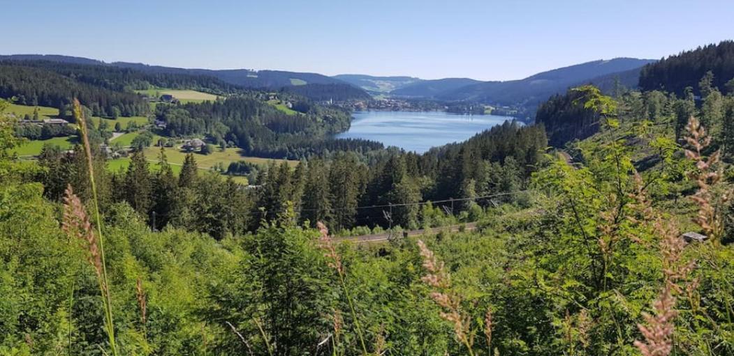 Black Forest Schwarzwaldblick Indoorpool Wifi Komfort Apartment Hoechenschwand